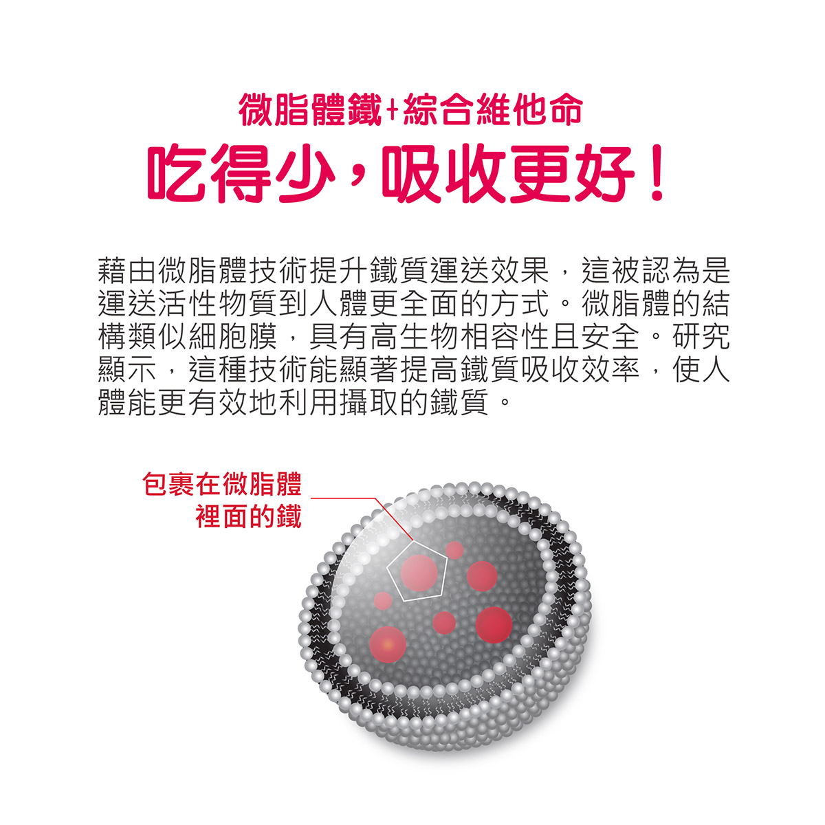 微脂體包覆技術